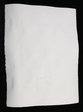 Charger l'image dans la galerie, ZIEGLER T Anonim Letter 3 "I'm Not Asleep My Mind Is Alive" Taylor Swift - Signed mixte media