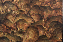 Charger l'image dans la galerie, DAN WITZ Rats - signed oil painting on canvas mounted on wood