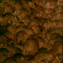 Charger l'image dans la galerie, DAN WITZ Rats - signed oil painting on canvas mounted on wood