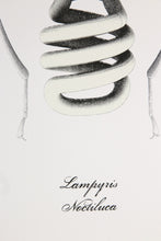 Charger l&#39;image dans la galerie, LUDO &quot;LUDOVIC VERNHET&quot; Lampyris Noctiluca - Signed GID print on paper
