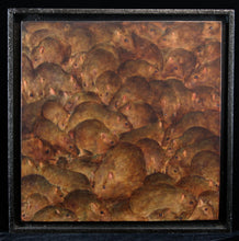 Charger l&#39;image dans la galerie, DAN WITZ Rats - signed oil painting on canvas mounted on wood
