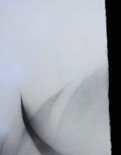 Charger l&#39;image dans la galerie, SATR Lion - Signed Original On Paper
