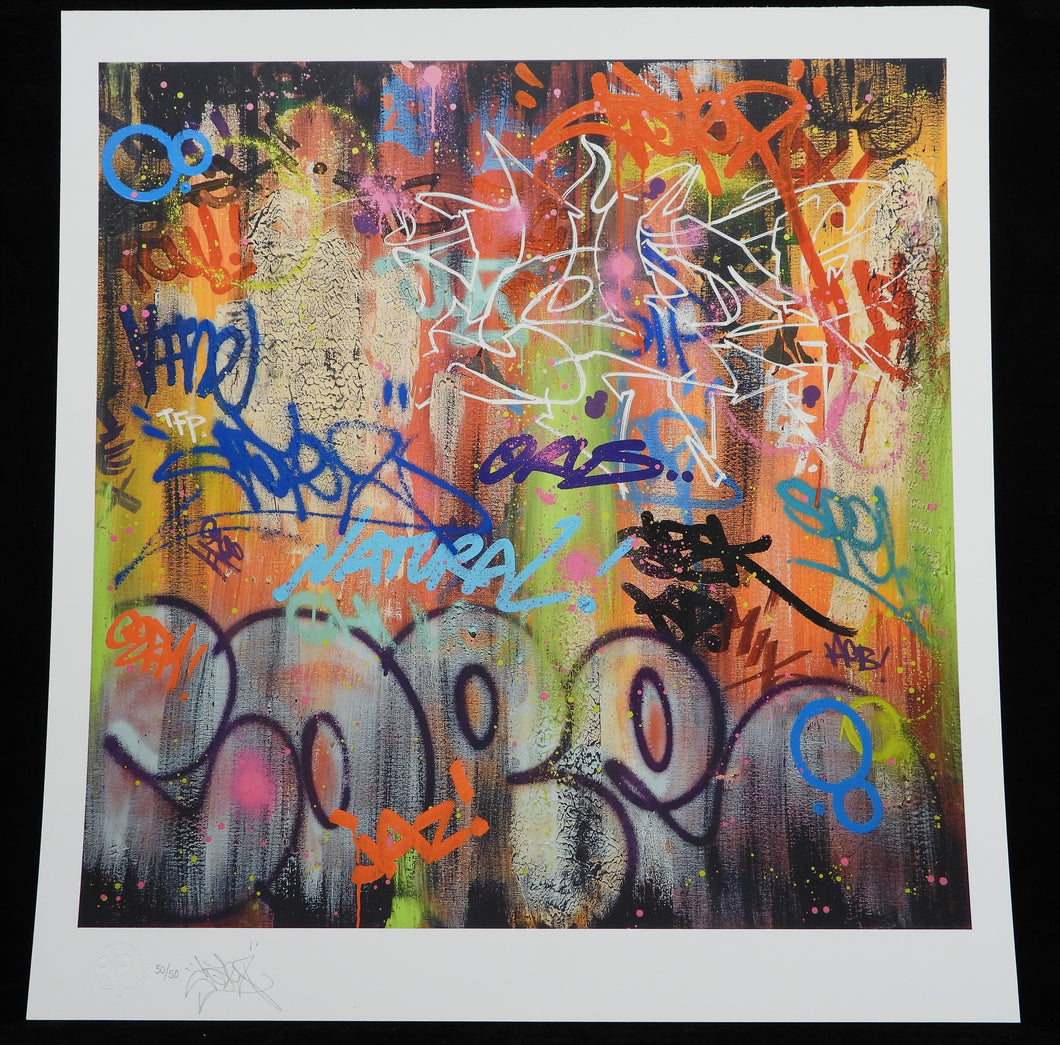 COPE2 Natural - Signed digital print 2011