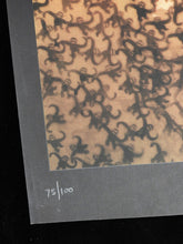 Charger l&#39;image dans la galerie, PURE EVIL Darwin - Signed digital print 2010
