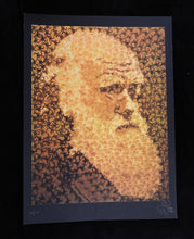 Charger l&#39;image dans la galerie, PURE EVIL Darwin - Signed digital print 2010
