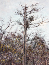 Charger l&#39;image dans la galerie, ALEX FACE Boang Boet Prachuap Khiri Khan - Signed print
