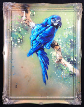 Charger l&#39;image dans la galerie, Matt Dixon M-ONE Blue Macaw - Signed painting on wood and vintage frame
