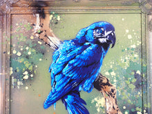 Charger l&#39;image dans la galerie, Matt Dixon M-ONE Blue Macaw - Signed painting on wood and vintage frame
