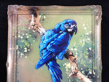 Charger l&#39;image dans la galerie, Matt Dixon M-ONE Blue Macaw - Signed painting on wood and vintage frame
