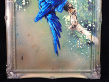 Charger l&#39;image dans la galerie, Matt Dixon M-ONE Blue Macaw - Signed painting on wood and vintage frame
