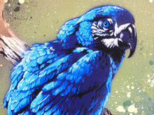 Charger l&#39;image dans la galerie, Matt Dixon M-ONE Blue Macaw - Signed painting on wood and vintage frame
