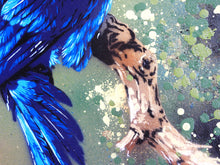 Charger l&#39;image dans la galerie, Matt Dixon M-ONE Blue Macaw - Signed painting on wood and vintage frame
