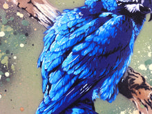 Charger l&#39;image dans la galerie, Matt Dixon M-ONE Blue Macaw - Signed painting on wood and vintage frame
