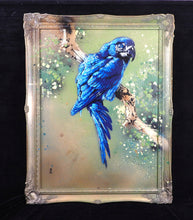 Charger l&#39;image dans la galerie, Matt Dixon M-ONE Blue Macaw - Signed painting on wood and vintage frame
