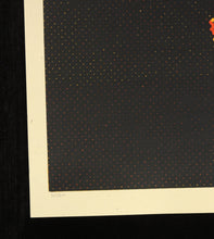 Charger l'image dans la galerie, SHEPARD FAIREY Nixon 2001 - Signed Screenprint
