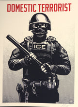Charger l'image dans la galerie, SHEPARD FAIREY Projection Miror Domestic Terrorist 2026 - Signed Screenprint
