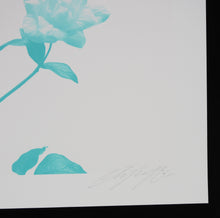 Charger l'image dans la galerie, INSANE 51 The Garden Within - Signed digigraph and screenprint with 3d glasses

