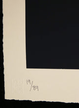 Charger l&#39;image dans la galerie, SHEPARD FAIREY Commanda - Large Format Screenprint
