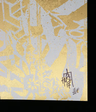Load image into Gallery viewer, HUSH Asiatic AP - Handfinished with paint
